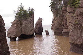 Hopewell rocks vloed