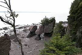 Hopewell rocks eb